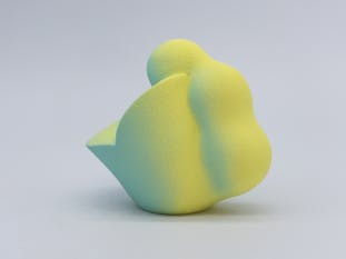 Gradation Form (Y/M) #01